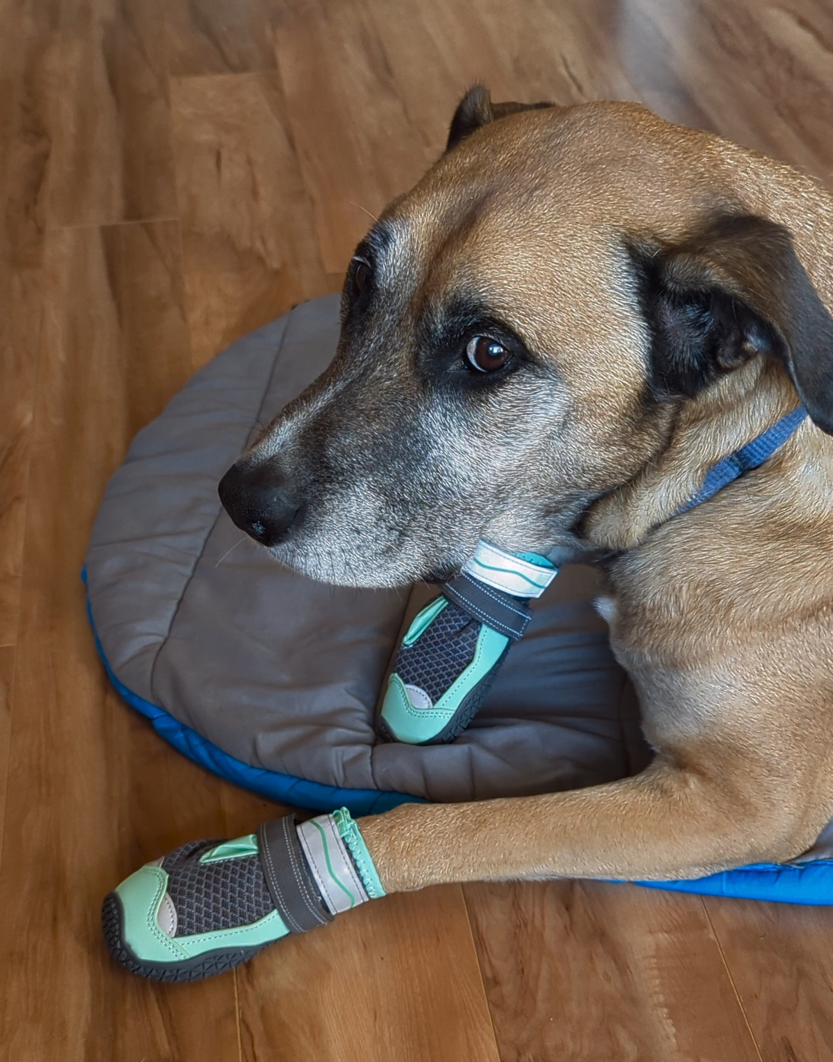 Dean wearing shoes Blank Meme Template