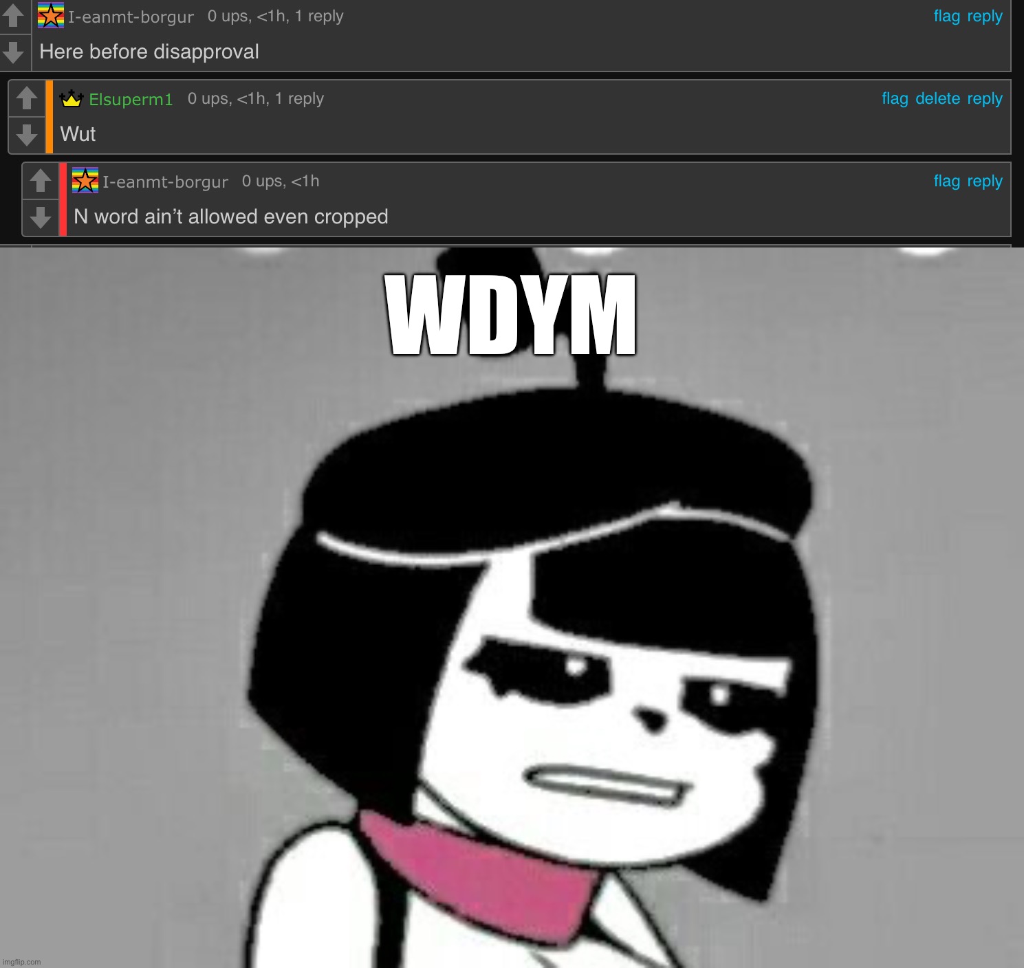 Im pretty sure ive seen less cropped and even uncropped of it and other stuff here in msmg | WDYM | made w/ Imgflip meme maker