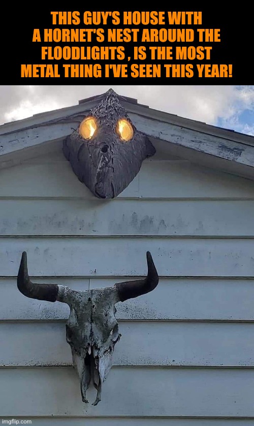 Death Metal Hornets | THIS GUY'S HOUSE WITH A HORNET'S NEST AROUND THE FLOODLIGHTS , IS THE MOST METAL THING I'VE SEEN THIS YEAR! | image tagged in metal,hornet,nest,house | made w/ Imgflip meme maker