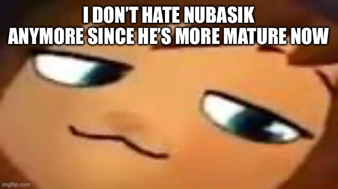 smug hat kid.mp4 | I DON’T HATE NUBASIK ANYMORE SINCE HE’S MORE MATURE NOW | image tagged in smug hat kid mp4 | made w/ Imgflip meme maker