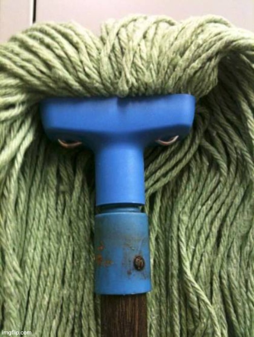 image tagged in angry mop | made w/ Imgflip meme maker