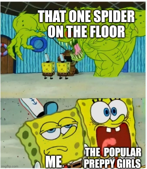 SpongeBob SquarePants scared but also not scared | THAT ONE SPIDER ON THE FLOOR; THE  POPULAR PREPPY GIRLS; ME | image tagged in spongebob squarepants scared but also not scared | made w/ Imgflip meme maker