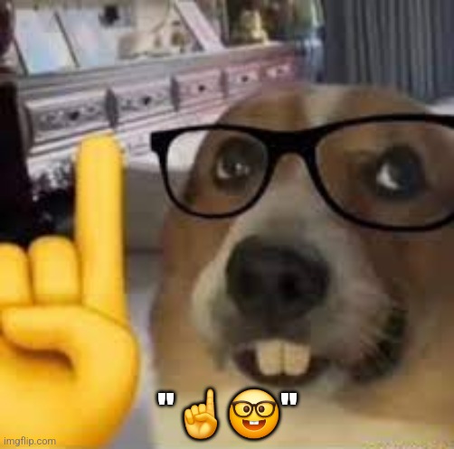 day 1 posting random memes until i revive the chat | "☝️🤓" | image tagged in nerd dog | made w/ Imgflip meme maker