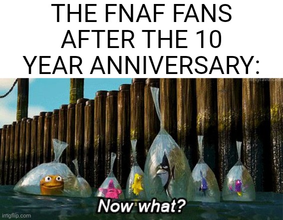 so now what. | THE FNAF FANS AFTER THE 10 YEAR ANNIVERSARY: | image tagged in now what,fnaf,10 year anniversary | made w/ Imgflip meme maker