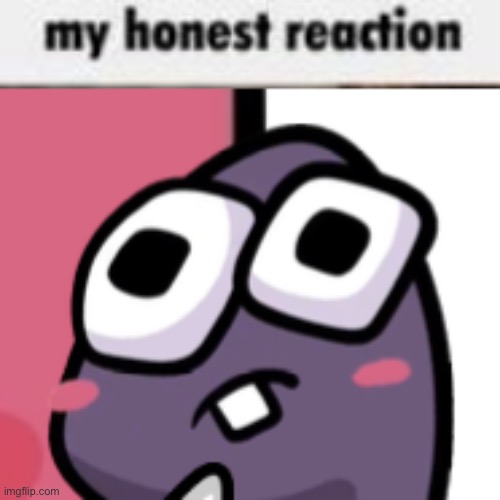 image tagged in my honest reaction | made w/ Imgflip meme maker