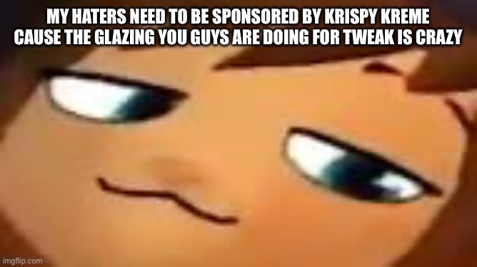 smug hat kid.mp4 | MY HATERS NEED TO BE SPONSORED BY KRISPY KREME CAUSE THE GLAZING YOU GUYS ARE DOING FOR TWEAK IS CRAZY | image tagged in smug hat kid mp4 | made w/ Imgflip meme maker