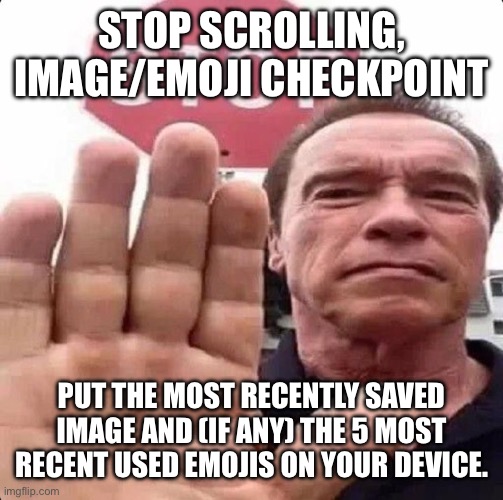 guy in front of stop sign | STOP SCROLLING, IMAGE/EMOJI CHECKPOINT; PUT THE MOST RECENTLY SAVED IMAGE AND (IF ANY) THE 5 MOST RECENT USED EMOJIS ON YOUR DEVICE. | image tagged in guy in front of stop sign | made w/ Imgflip meme maker