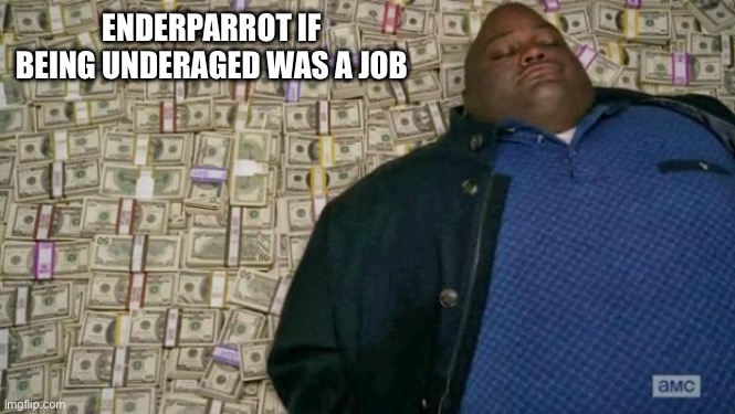 huell money | ENDERPARROT IF BEING UNDERAGED WAS A JOB | image tagged in huell money | made w/ Imgflip meme maker