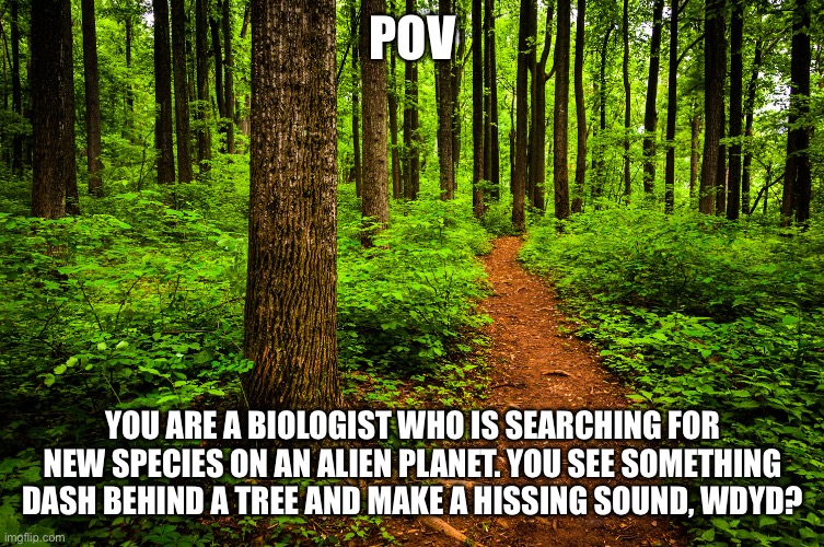 Alien rp! (No joke or ERP) | POV; YOU ARE A BIOLOGIST WHO IS SEARCHING FOR NEW SPECIES ON AN ALIEN PLANET. YOU SEE SOMETHING DASH BEHIND A TREE AND MAKE A HISSING SOUND, WDYD? | image tagged in forest path | made w/ Imgflip meme maker