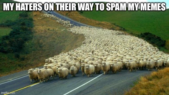 sheep | MY HATERS ON THEIR WAY TO SPAM MY MEMES | image tagged in sheep | made w/ Imgflip meme maker