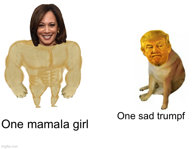 Who Would Win? | One mamala girl; One sad trumpf | image tagged in memes,buff doge vs cheems | made w/ Imgflip meme maker