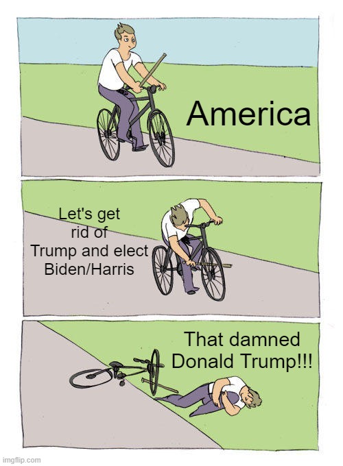 Bike Fall | America; Let's get rid of Trump and elect Biden/Harris; That damned Donald Trump!!! | image tagged in memes,bike fall | made w/ Imgflip meme maker