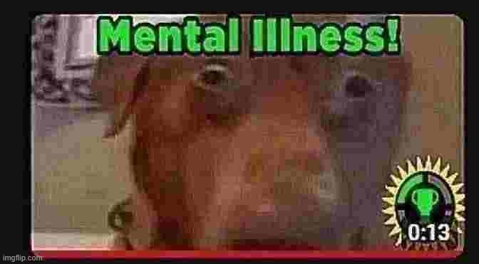 mental illness | image tagged in mental illness | made w/ Imgflip meme maker