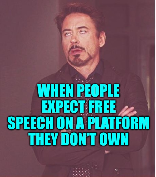 Face You Make Robert Downey Jr Meme | WHEN PEOPLE EXPECT FREE SPEECH ON A PLATFORM THEY DON’T OWN | image tagged in memes,face you make robert downey jr | made w/ Imgflip meme maker