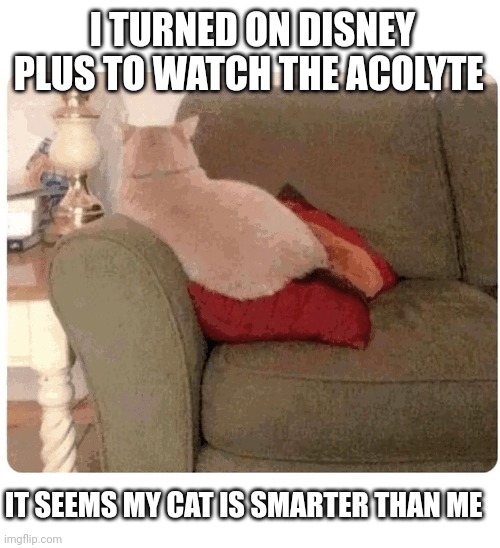 Smart cat | I TURNED ON DISNEY PLUS TO WATCH THE ACOLYTE; IT SEEMS MY CAT IS SMARTER THAN ME | image tagged in disney star wars | made w/ Imgflip meme maker