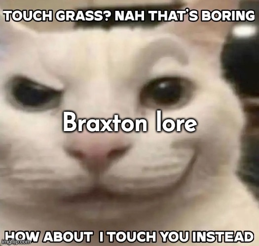 how about I touch you instead? | Braxton lore | image tagged in how about i touch you instead | made w/ Imgflip meme maker