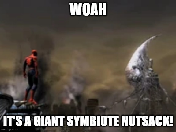 Venom Sack | WOAH; IT'S A GIANT SYMBIOTE NUTSACK! | image tagged in spiderman,venom | made w/ Imgflip meme maker