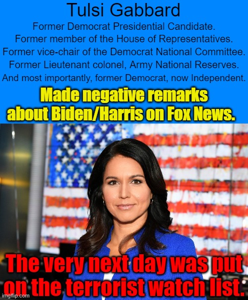 This is just what happens if you used to be a Dem and speak out against them.  No good deed goes unpunished. | Tulsi Gabbard; Former Democrat Presidential Candidate. Former member of the House of Representatives. Former vice-chair of the Democrat National Committee. Former Lieutenant colonel, Army National Reserves. And most importantly, former Democrat, now Independent. Made negative remarks about Biden/Harris on Fox News. The very next day was put on the terrorist watch list. | image tagged in the democrat party are the terrorists,think for yourself and dems punish you | made w/ Imgflip meme maker