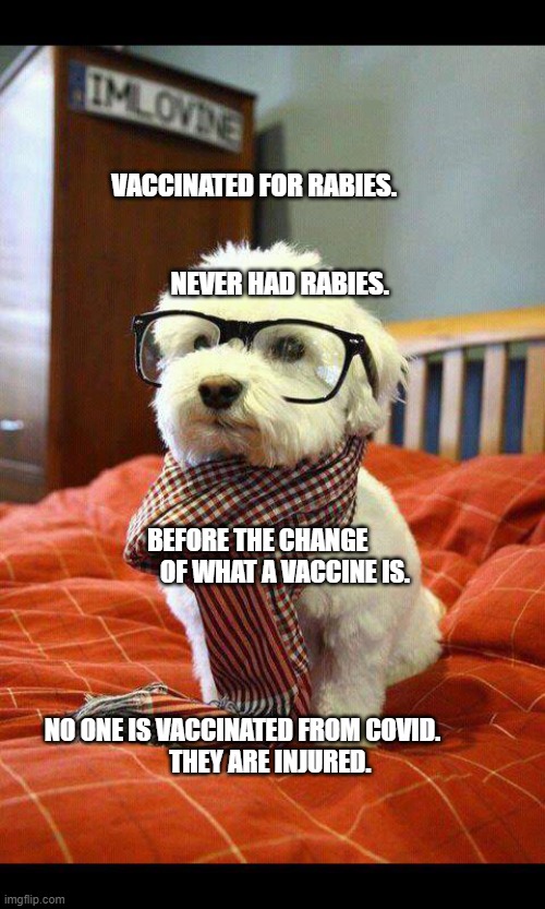 Intelligent Dog | VACCINATED FOR RABIES.                                             
           NEVER HAD RABIES. BEFORE THE CHANGE                OF WHAT A VACCINE IS.                                                                                                                                                
       NO ONE IS VACCINATED FROM COVID.                   
 THEY ARE INJURED. | image tagged in memes,intelligent dog | made w/ Imgflip meme maker