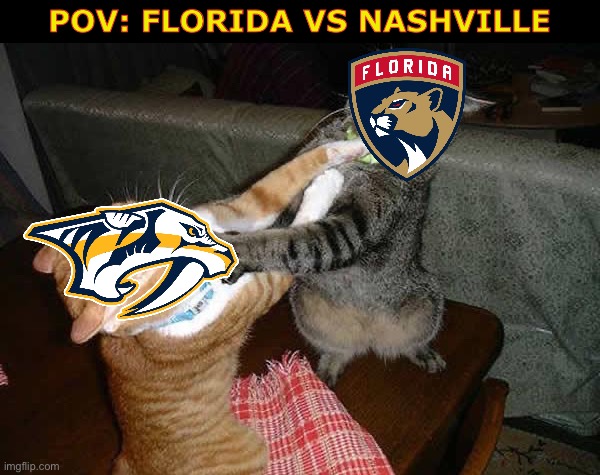 Cat Fight | POV: FLORIDA VS NASHVILLE | image tagged in two cats fighting for real,nashville,florida | made w/ Imgflip meme maker