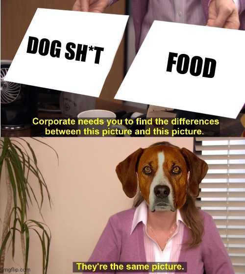 DOG SH*T FOOD | made w/ Imgflip meme maker