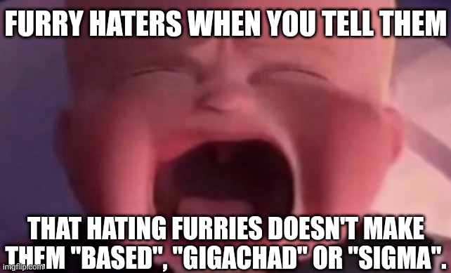 The most emotionally mature anti-furry | FURRY HATERS WHEN YOU TELL THEM; THAT HATING FURRIES DOESN'T MAKE THEM "BASED", "GIGACHAD" OR "SIGMA". | image tagged in furry,anti-furry,furries,anti-furries,the furry fandom,furry hunting license | made w/ Imgflip meme maker