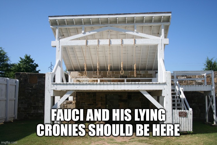 gallows | FAUCI AND HIS LYING CRONIES SHOULD BE HERE | image tagged in gallows | made w/ Imgflip meme maker