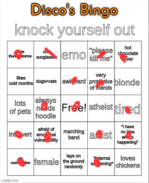 Bingo | image tagged in disco's bingo | made w/ Imgflip meme maker
