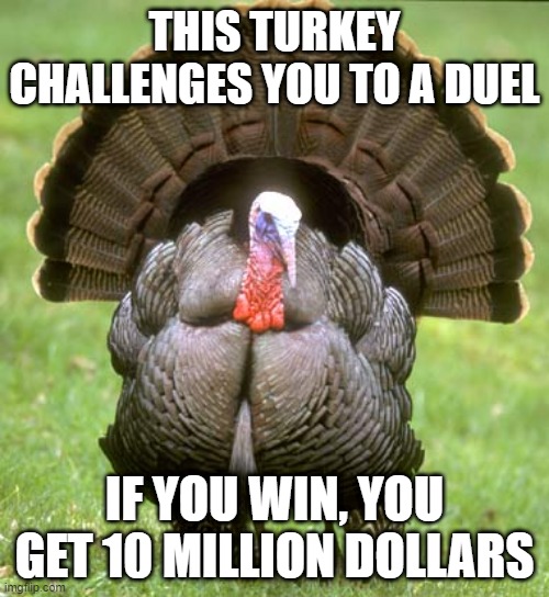 Tip: insult it | THIS TURKEY CHALLENGES YOU TO A DUEL; IF YOU WIN, YOU GET 10 MILLION DOLLARS | image tagged in memes,turkey,oh wow are you actually reading these tags | made w/ Imgflip meme maker