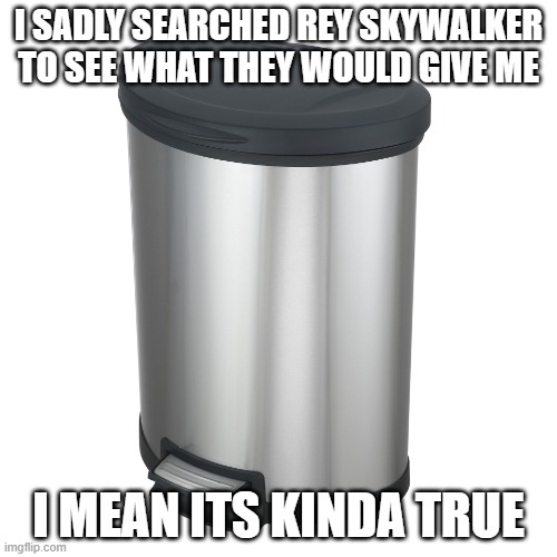 Rey is fine. but she will not be a Skywalker and that is final | I SADLY SEARCHED REY SKYWALKER TO SEE WHAT THEY WOULD GIVE ME; I MEAN ITS KINDA TRUE | image tagged in garbage | made w/ Imgflip meme maker