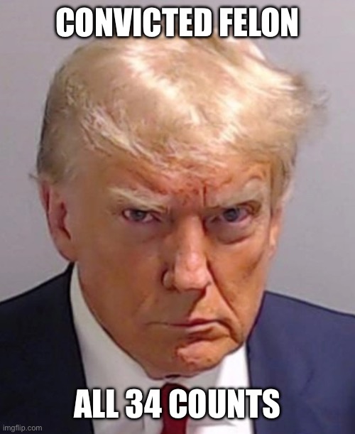 TRUMP | CONVICTED FELON; ALL 34 COUNTS | made w/ Imgflip meme maker