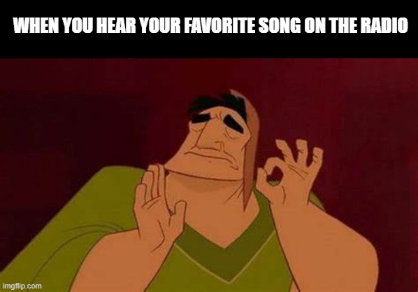 nice | WHEN YOU HEAR YOUR FAVORITE SONG ON THE RADIO | image tagged in emperor's new groove waterfall | made w/ Imgflip meme maker