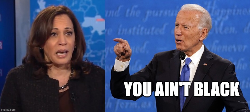 Kamala Ain't Black | YOU AIN'T BLACK | image tagged in biden pointing,kamala harris | made w/ Imgflip meme maker