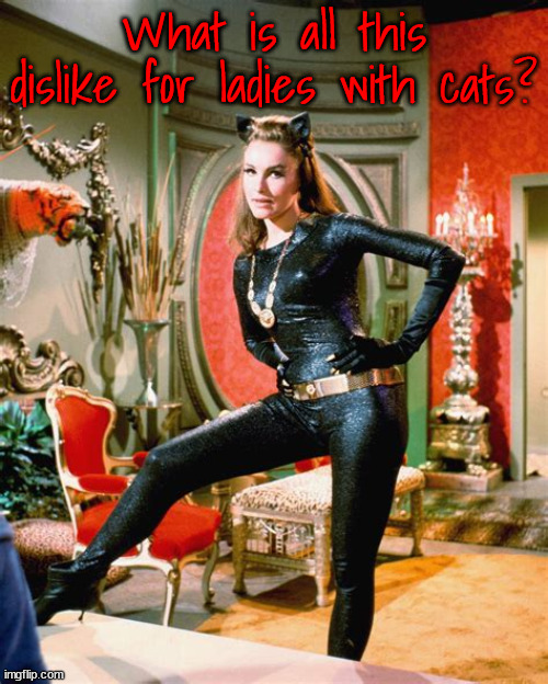 Kats for Kamala | What is all this dislike for ladies with cats? | image tagged in catwoman,cats,jd vance,batman,hate vs joy,maga meow | made w/ Imgflip meme maker