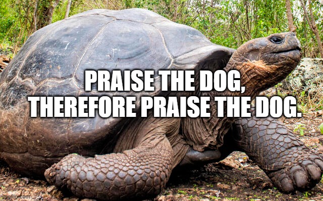 Praise the dog! | PRAISE THE DOG, THEREFORE PRAISE THE DOG. | image tagged in elden ring turtle | made w/ Imgflip meme maker