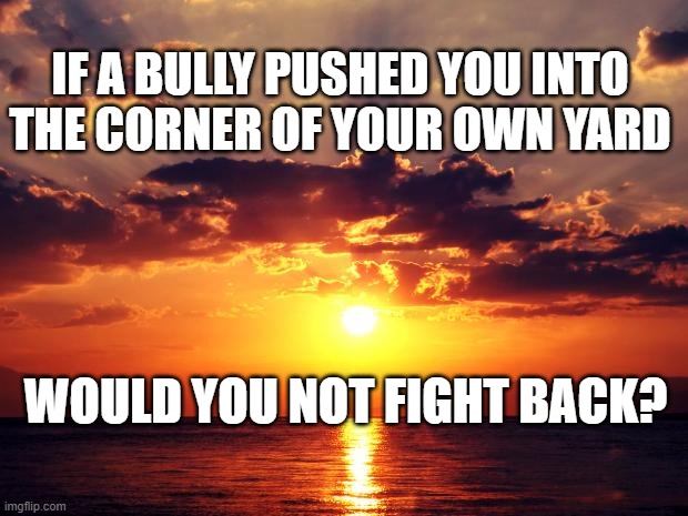 Sunset | IF A BULLY PUSHED YOU INTO THE CORNER OF YOUR OWN YARD; WOULD YOU NOT FIGHT BACK? | image tagged in sunset | made w/ Imgflip meme maker