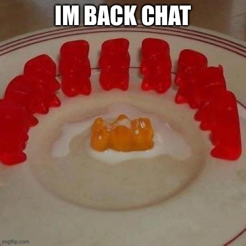 Cummy bare bukakke | IM BACK CHAT | image tagged in cummy bare bukakke | made w/ Imgflip meme maker