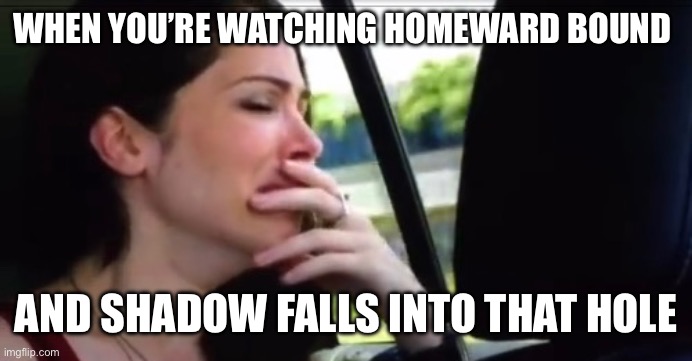 Crying Catherine | WHEN YOU’RE WATCHING HOMEWARD BOUND; AND SHADOW FALLS INTO THAT HOLE | image tagged in crying catherine,sad,dogs,tears,childhood | made w/ Imgflip meme maker