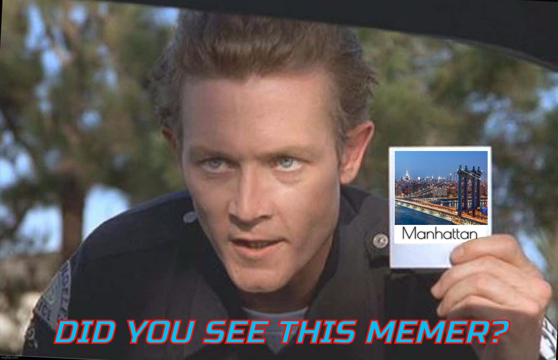 Have You Seen | Manhattan; DID YOU SEE THIS MEMER? | image tagged in have you seen | made w/ Imgflip meme maker