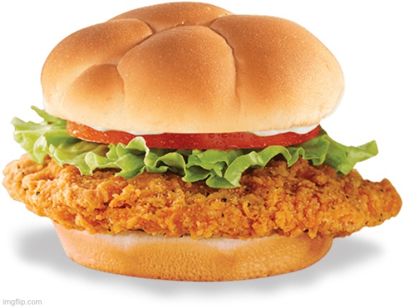 Chicken sandwich | image tagged in chicken sandwich | made w/ Imgflip meme maker