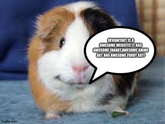 The Guinea pig of wisdom loves Deviantart | DEVIANTART IS A AWESOME WEBSITE! IT HAS AWESOME FANART,AWESOME ANIME ART AND AWESOME FURRY ART! | image tagged in happy guinea pig | made w/ Imgflip meme maker