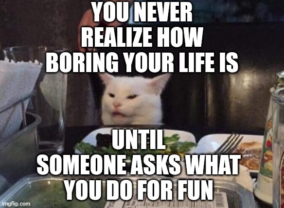 Smudge that darn cat | YOU NEVER REALIZE HOW BORING YOUR LIFE IS; UNTIL SOMEONE ASKS WHAT YOU DO FOR FUN | image tagged in smudge that darn cat | made w/ Imgflip meme maker