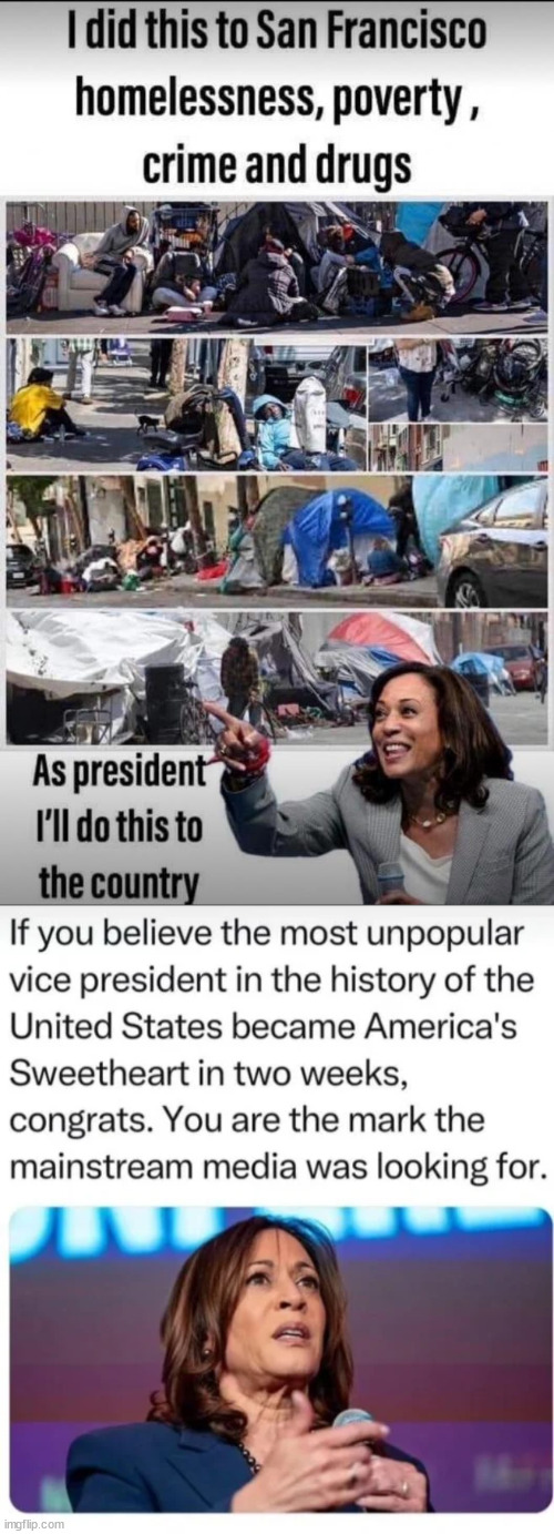 The truth about Scamala... She is the worst VP in the history of the US... | image tagged in scamala,harris,worst vp in us history | made w/ Imgflip meme maker