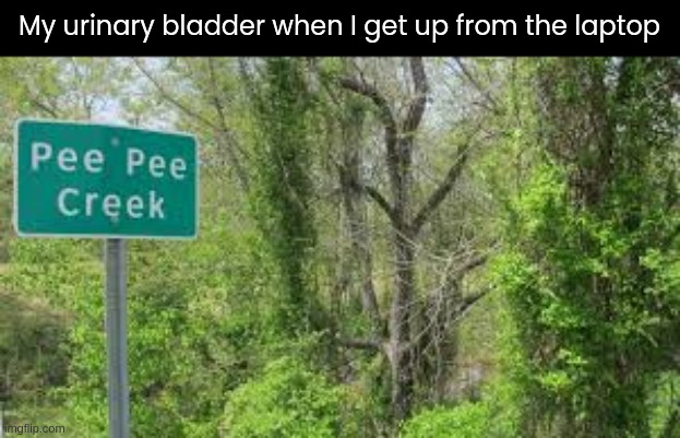 Urinary Bladder | My urinary bladder when I get up from the laptop | image tagged in pee pee creek | made w/ Imgflip meme maker