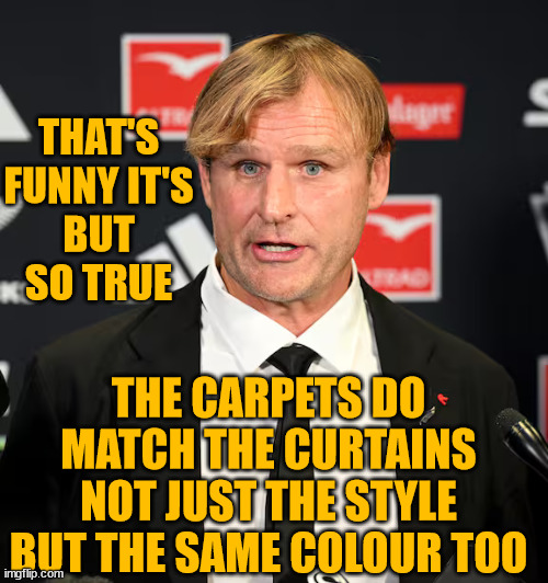 Scott Robertson | THAT'S FUNNY IT'S BUT SO TRUE; THE CARPETS DO MATCH THE CURTAINS NOT JUST THE STYLE BUT THE SAME COLOUR TOO | image tagged in carpet,black cat draped on chair,new zealand,rugby,i farted | made w/ Imgflip meme maker