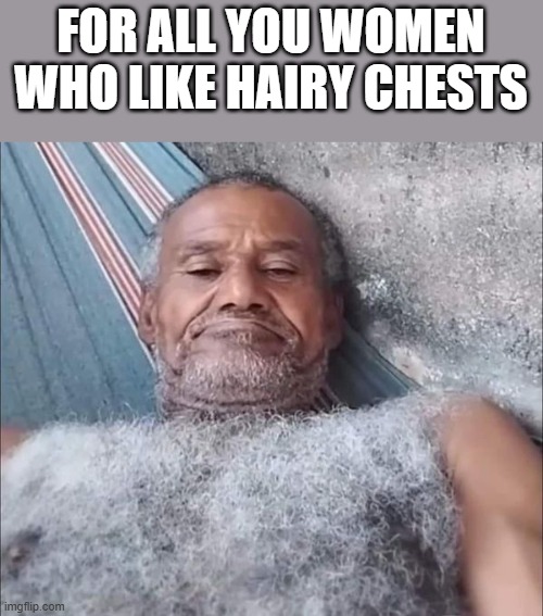 For All The Women Who Like Hairy Chests | FOR ALL YOU WOMEN WHO LIKE HAIRY CHESTS | image tagged in hairy,hairy chest,shirtless,hair,funny,memes | made w/ Imgflip meme maker