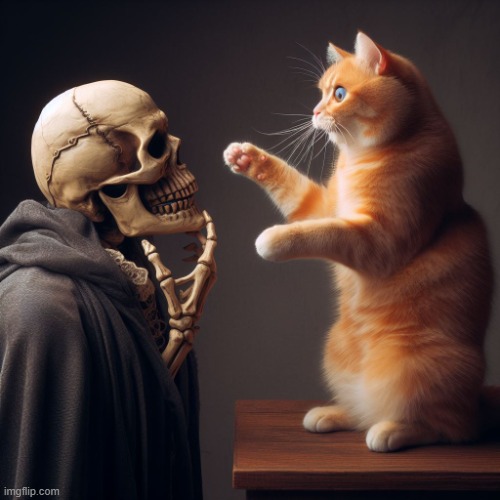 Badass skeleton examining house cat | image tagged in badass skeleton examining house cat | made w/ Imgflip meme maker