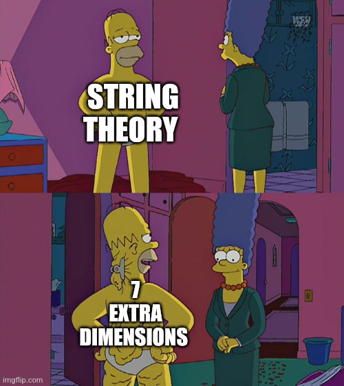 extra theory | STRING THEORY; 7 EXTRA DIMENSIONS | image tagged in homer simpson's back fat,string theory,dimensions | made w/ Imgflip meme maker