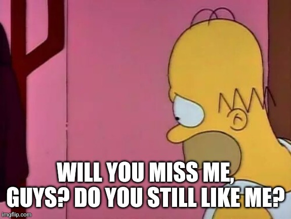 You don't have to answer. I just would like to know. | WILL YOU MISS ME, GUYS? DO YOU STILL LIKE ME? | image tagged in homer sad | made w/ Imgflip meme maker