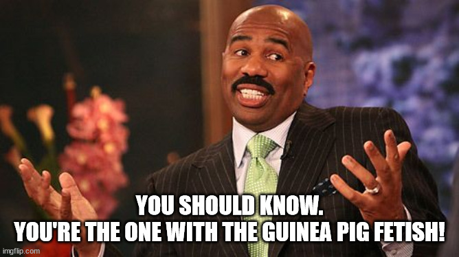 shrug | YOU SHOULD KNOW.
YOU'RE THE ONE WITH THE GUINEA PIG FETISH! | image tagged in shrug | made w/ Imgflip meme maker